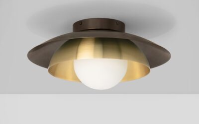 Carapace Ceiling