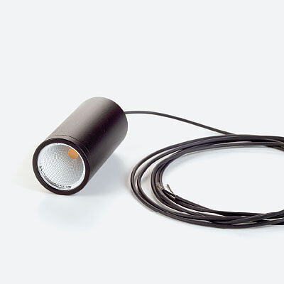 Newton System